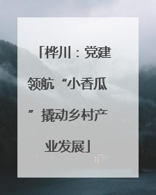桦川：党建领航“小香瓜”撬动乡村产业发展
