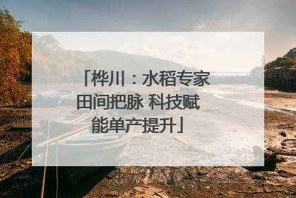 桦川：水稻专家田间把脉 科技赋能单产提升