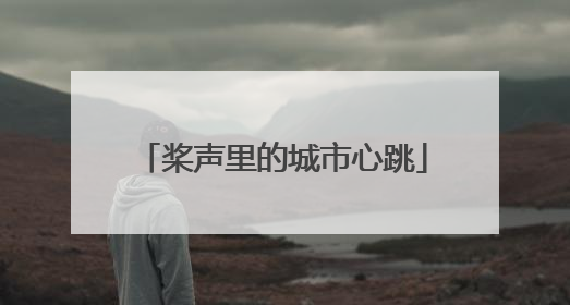 桨声里的城市心跳