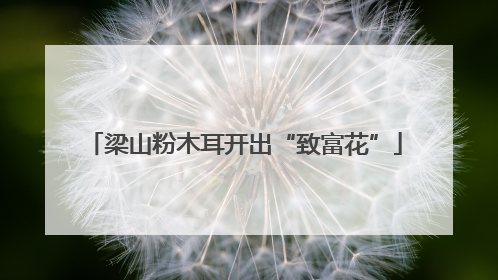 梁山粉木耳开出“致富花”