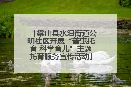 梁山县水泊街道公明社区开展“普惠托育 科学育儿”主题托育服务宣传活动