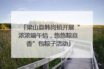 梁山县韩岗镇开展“浓浓端午情，悠悠粽意香”包粽子活动