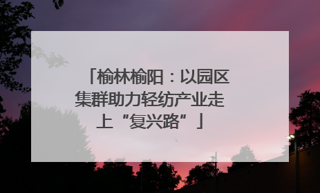 榆林榆阳：以园区集群助力轻纺产业走上“复兴路”