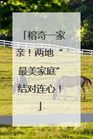 榕奇一家亲！两地“最美家庭”结对连心！