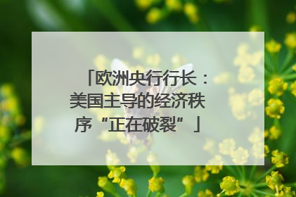 欧洲央行行长：美国主导的经济秩序“正在破裂”