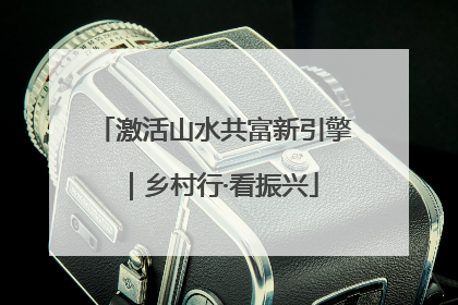 激活山水共富新引擎｜乡村行·看振兴