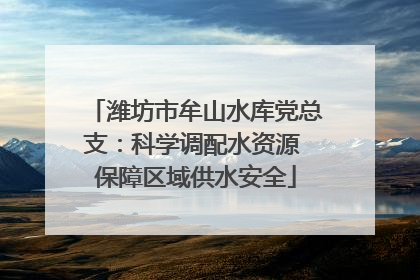 潍坊市牟山水库党总支：科学调配水资源 保障区域供水安全