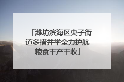 潍坊滨海区央子街道多措并举全力护航粮食丰产丰收