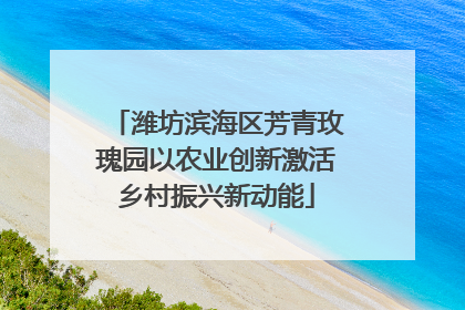 潍坊滨海区芳青玫瑰园以农业创新激活乡村振兴新动能