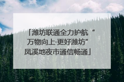 潍坊联通全力护航“万物向上·更好潍坊”凤溪地夜市通信畅通