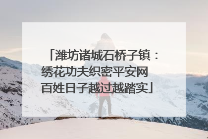 潍坊诸城石桥子镇：绣花功夫织密平安网 百姓日子越过越踏实