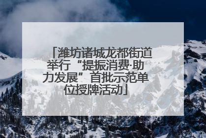 潍坊诸城龙都街道举行“提振消费·助力发展”首批示范单位授牌活动