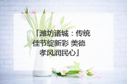 潍坊诸城：传统佳节绽新彩 美德孝风润民心