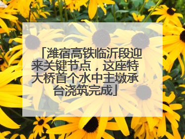 潍宿高铁临沂段迎来关键节点，这座特大桥首个水中主墩承台浇筑完成