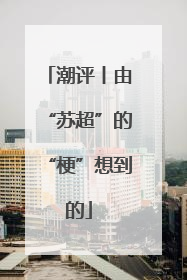 潮评丨由“苏超”的“梗”想到的