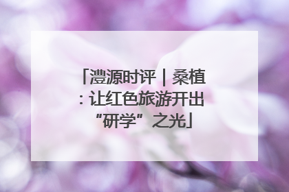 澧源时评｜桑植：让红色旅游开出“研学”之光