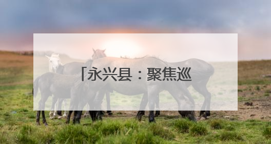 永兴县：聚焦巡察反馈问题 提升公共服务质量