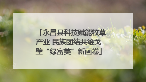 永昌县科技赋能牧草产业 民族团结共绘戈壁“绿富美”新画卷