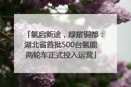 氢启新途，绿耀铜都：湖北省首批500台氢能两轮车正式投入运营
