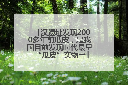 汉遗址发现2000多年前瓜皮，是我国目前发现时代最早“瓜皮”实物→