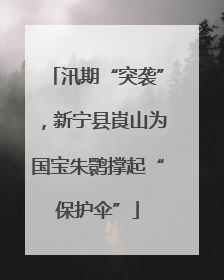 汛期“突袭”，新宁县崀山为国宝朱鹮撑起“保护伞”