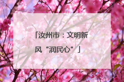汝州市：文明新风“润民心”