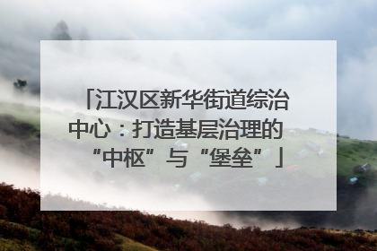 江汉区新华街道综治中心：打造基层治理的“中枢”与“堡垒”