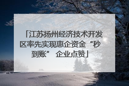 江苏扬州经济技术开发区率先实现惠企资金“秒到账” 企业点赞
