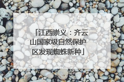 江西崇义：齐云山国家级自然保护区发现蜘蛛新种