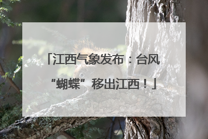 江西气象发布：台风“蝴蝶”移出江西！