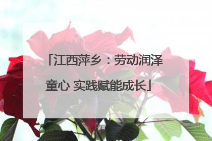 江西萍乡：劳动润泽童心 实践赋能成长