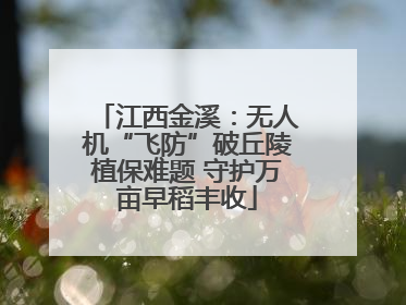 江西金溪：无人机“飞防”破丘陵植保难题 守护万亩早稻丰收