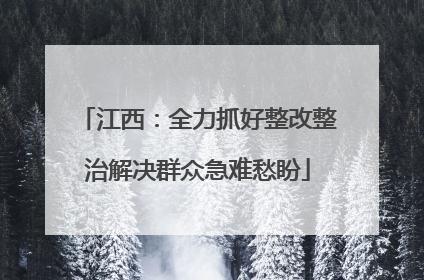 江西：全力抓好整改整治解决群众急难愁盼