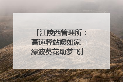 江陵西管理所：高速驿站暖如家 绿波葵花助梦飞