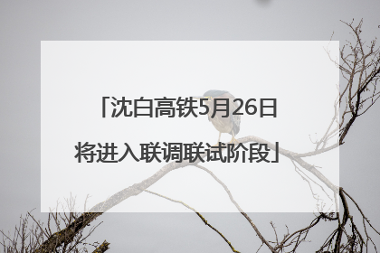 沈白高铁5月26日将进入联调联试阶段