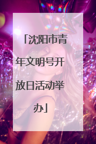 沈阳市青年文明号开放日活动举办