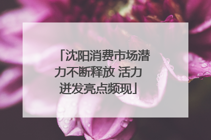沈阳消费市场潜力不断释放 活力迸发亮点频现