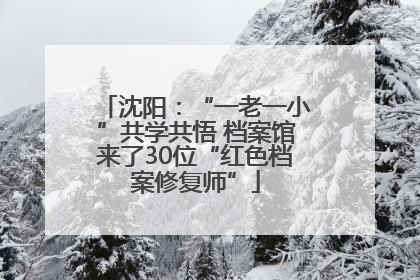 沈阳：“一老一小”共学共悟 档案馆来了30位“红色档案修复师”