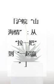 沪皖“山海情”：从“拉一把”到“一起赢”