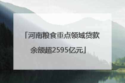 河南粮食重点领域贷款余额超2595亿元