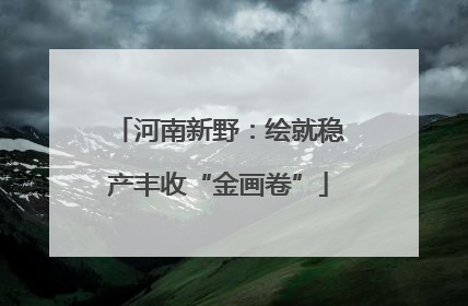 河南新野：绘就稳产丰收“金画卷”