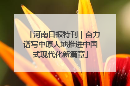 河南日报特刊｜奋力谱写中原大地推进中国式现代化新篇章
