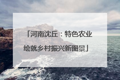 河南沈丘：特色农业绘就乡村振兴新图景