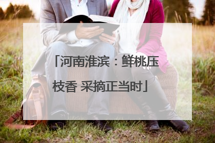 河南淮滨：鲜桃压枝香 采摘正当时