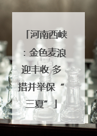 河南西峡：金色麦浪迎丰收 多措并举保“三夏”
