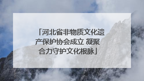 河北省非物质文化遗产保护协会成立 凝聚合力守护文化根脉