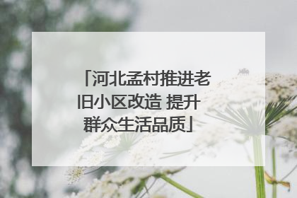 河北孟村推进老旧小区改造 提升群众生活品质