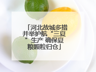 河北故城多措并举护航“三夏”生产 确保夏粮颗粒归仓