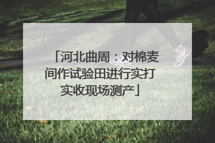 河北曲周：对棉麦间作试验田进行实打实收现场测产
