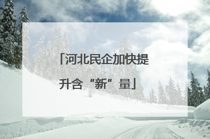 河北民企加快提升含“新”量